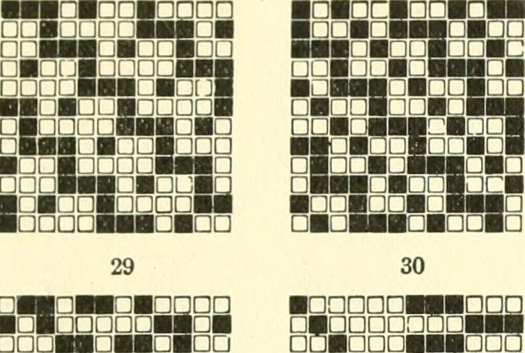 An illustration from Design texts : a practical treatise on textile design, cloth construction, fabric analysis and calculations, 1910, leaf 223