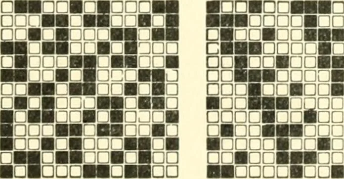 An illustration from Design texts : a practical treatise on textile design, cloth construction, fabric analysis and calculations, 1910, leaf 225