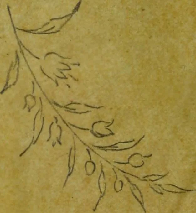 An illustration from [Design tracings, 1875, leaf 143