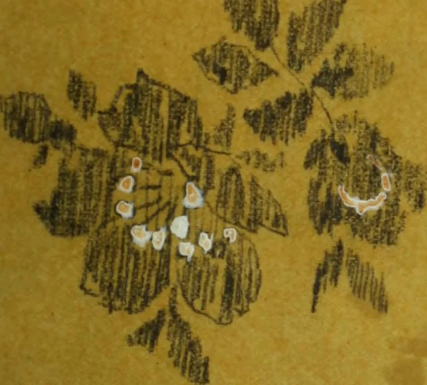 An illustration from [Design tracings, 1875, leaf 26