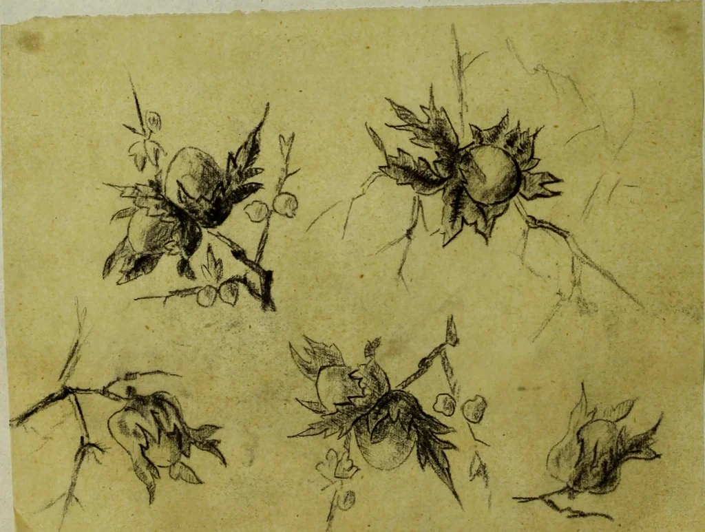 An illustration from [Design tracings, 1875, leaf 49