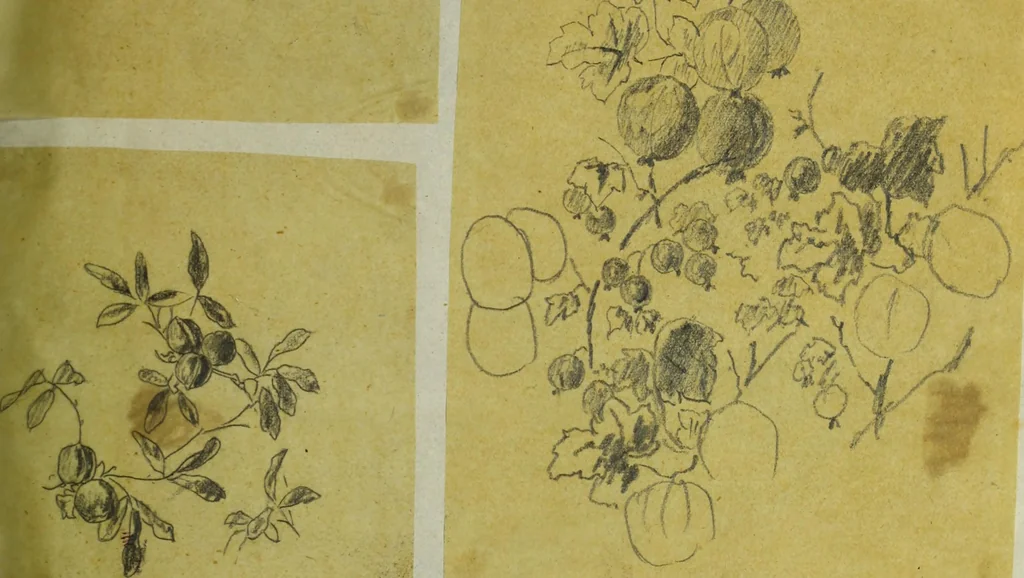 An illustration from [Design tracings, 1875, leaf 50