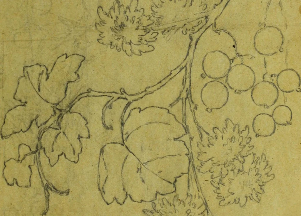 An illustration from [Design tracings, 1875, leaf 86