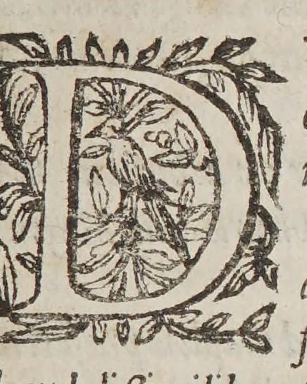 An illustration from De simplicibus medicamentis ex Occidentali India delatis, quorum in medicina vsus est., 1574, leaf 11