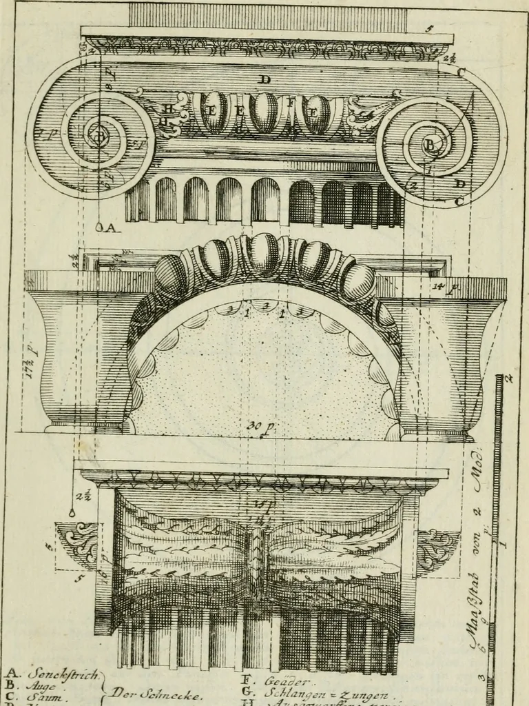 An illustration from Des Jacobi Barozzi von Vignola Grund Regeln über die fünff Säulen auffs neue zum fleissigsten ubersehen, mit unterschtedenen nöthingen Regeln vermehret und mit 50 rissern in Kupffer, 1720, leaf 82