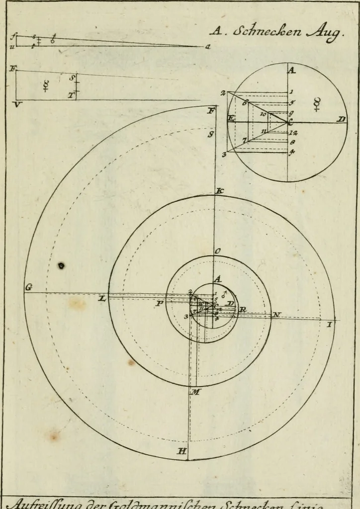 An illustration from Des Jacobi Barozzi von Vignola Grund Regeln über die fünff Säulen auffs neue zum fleissigsten ubersehen, mit unterschtedenen nöthingen Regeln vermehret und mit 50 rissern in Kupffer, 1720, leaf 86