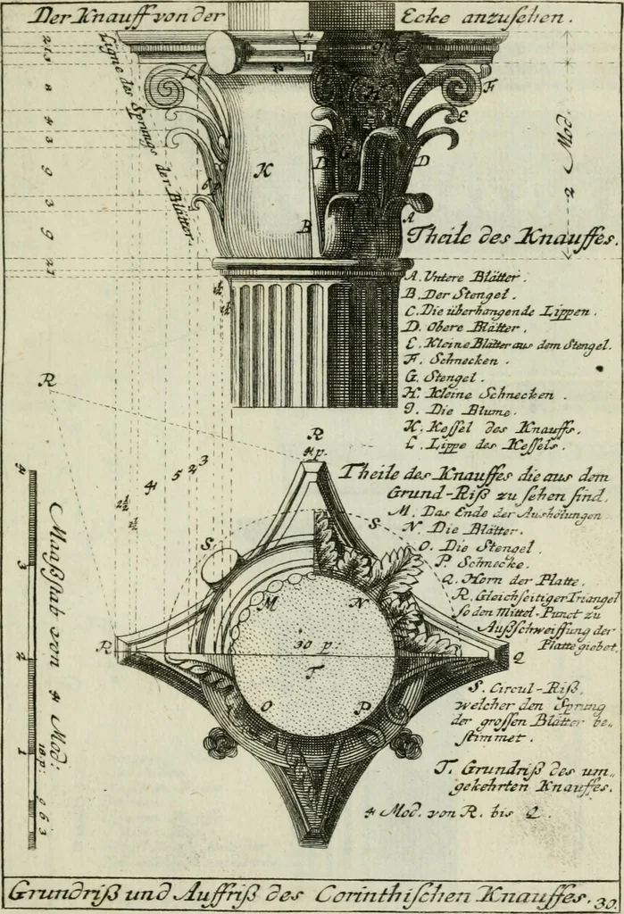 An illustration from Des Jacobi Barozzi von Vignola Grund Regeln über die fünff Säulen auffs neue zum fleissigsten ubersehen, mit unterschtedenen nöthingen Regeln vermehret und mit 50 rissern in Kupffer, 1720, leaf 96