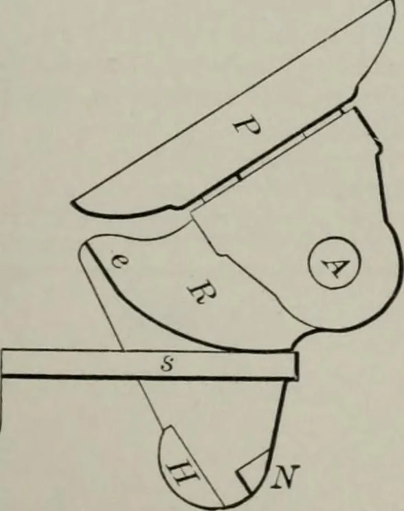 An illustration from Desk book of type specimens, borders, ornaments, brass rules and cuts : catalogue of printing machinery and printers' supplies, 1900, leaf 1034