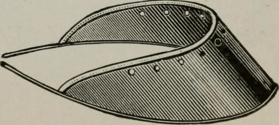 An illustration from Desk book of type specimens, borders, ornaments, brass rules and cuts : catalogue of printing machinery and printers' supplies, 1900, leaf 1114