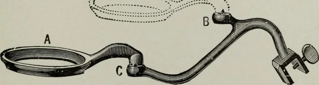 An illustration from Desk book of type specimens, borders, ornaments, brass rules and cuts : catalogue of printing machinery and printers' supplies, 1900, leaf 1116
