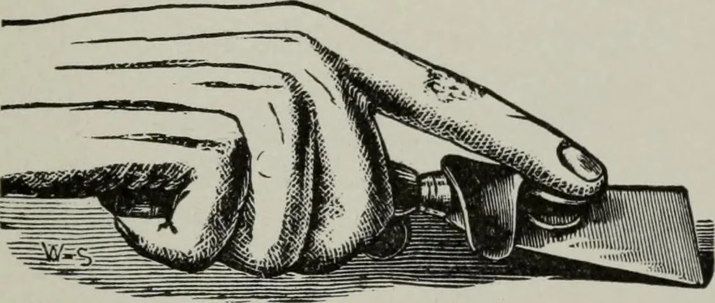 An illustration from Desk book of type specimens, borders, ornaments, brass rules and cuts : catalogue of printing machinery and printers' supplies, 1900, leaf 1118