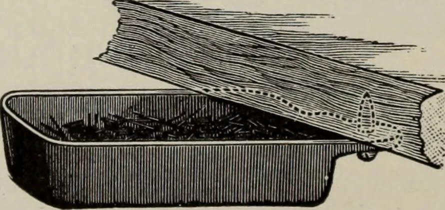 An illustration from Desk book of type specimens, borders, ornaments, brass rules and cuts : catalogue of printing machinery and printers' supplies, 1900, leaf 1119