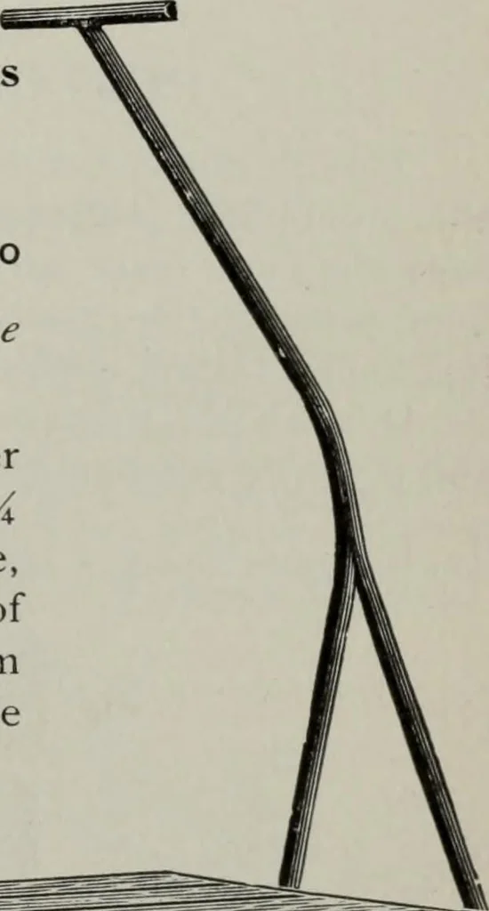 An illustration from Desk book of type specimens, borders, ornaments, brass rules and cuts : catalogue of printing machinery and printers' supplies, 1900, leaf 1124