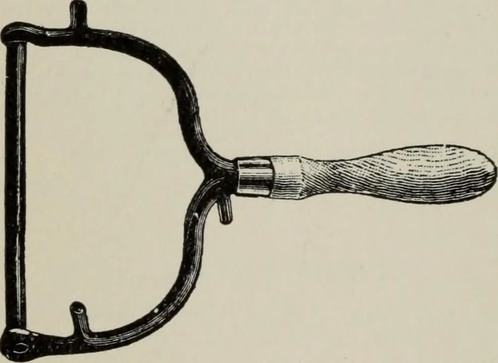 An illustration from Desk book of type specimens, borders, ornaments, brass rules and cuts : catalogue of printing machinery and printers' supplies, 1900, leaf 1147