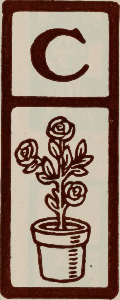 An illustration from Desk book of type specimens, borders, ornaments, brass rules and cuts : catalogue of printing machinery and printers' supplies, 1900, leaf 1259