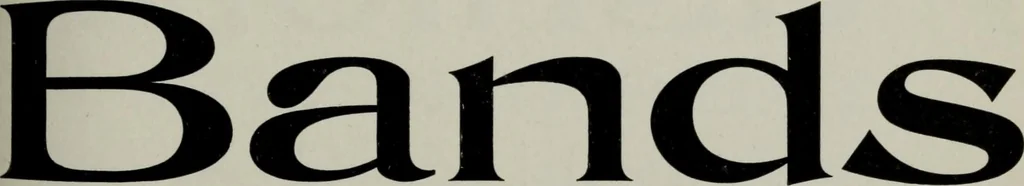 An illustration from Desk book of type specimens, borders, ornaments, brass rules and cuts : catalogue of printing machinery and printers' supplies, 1900, leaf 399