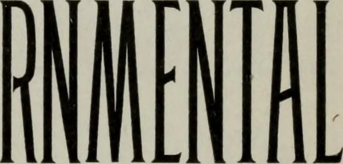 An illustration from Desk book of type specimens, borders, ornaments, brass rules and cuts : catalogue of printing machinery and printers' supplies, 1900, leaf 461