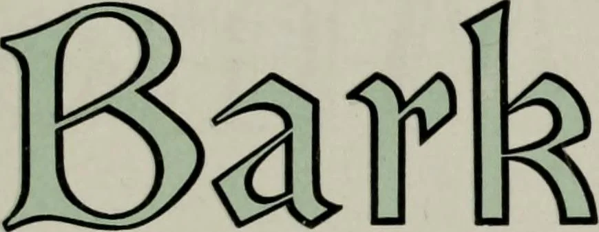 An illustration from Desk book of type specimens, borders, ornaments, brass rules and cuts : catalogue of printing machinery and printers' supplies, 1900, leaf 507