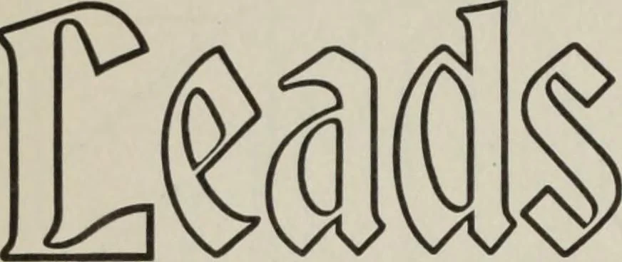 An illustration from Desk book of type specimens, borders, ornaments, brass rules and cuts : catalogue of printing machinery and printers' supplies, 1900, leaf 510