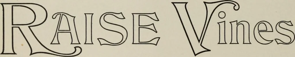 An illustration from Desk book of type specimens, borders, ornaments, brass rules and cuts : catalogue of printing machinery and printers' supplies, 1900, leaf 514