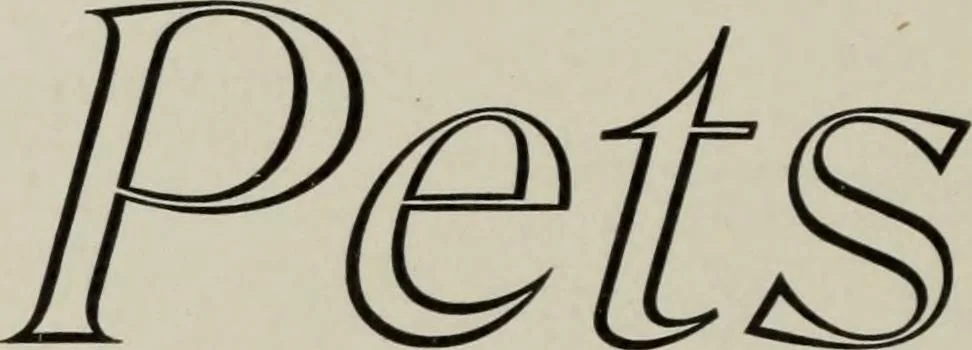 An illustration from Desk book of type specimens, borders, ornaments, brass rules and cuts : catalogue of printing machinery and printers' supplies, 1900, leaf 516