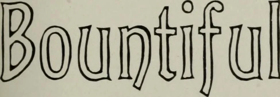 An illustration from Desk book of type specimens, borders, ornaments, brass rules and cuts : catalogue of printing machinery and printers' supplies, 1900, leaf 519
