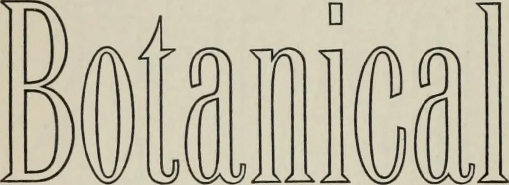 An illustration from Desk book of type specimens, borders, ornaments, brass rules and cuts : catalogue of printing machinery and printers' supplies, 1900, leaf 528