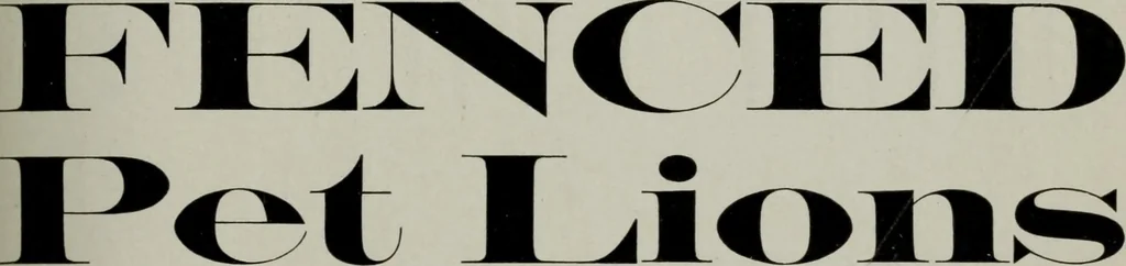 An illustration from Desk book of type specimens, borders, ornaments, brass rules and cuts : catalogue of printing machinery and printers' supplies, 1900, leaf 589