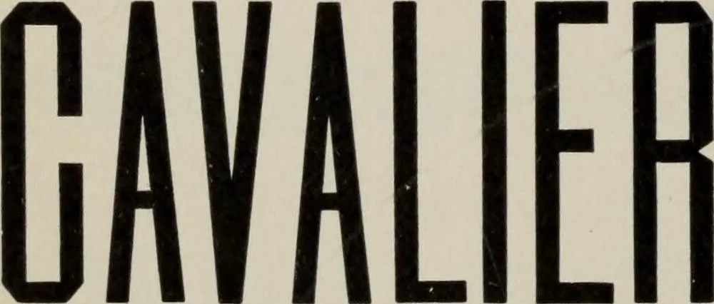 An illustration from Desk book of type specimens, borders, ornaments, brass rules and cuts : catalogue of printing machinery and printers' supplies, 1900, leaf 658