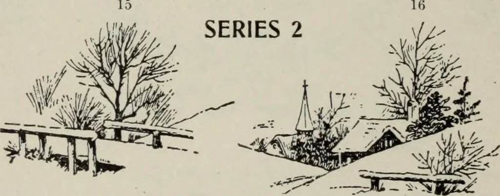 An illustration from Desk book of type specimens, borders, ornaments, brass rules and cuts : catalogue of printing machinery and printers' supplies, 1900, leaf 804