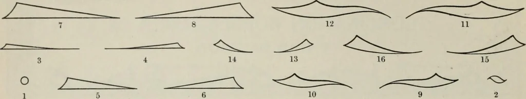 An illustration from Desk book of type specimens, borders, ornaments, brass rules and cuts : catalogue of printing machinery and printers' supplies, 1900, leaf 808