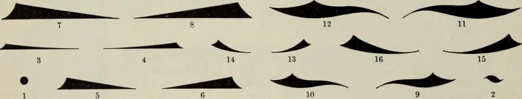 An illustration from Desk book of type specimens, borders, ornaments, brass rules and cuts : catalogue of printing machinery and printers' supplies, 1900, leaf 808