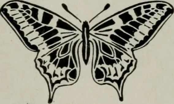 An illustration from Desk book of type specimens, borders, ornaments, brass rules and cuts : catalogue of printing machinery and printers' supplies, 1900, leaf 825