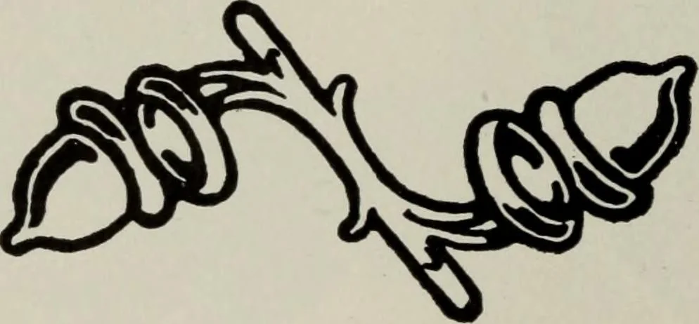 An illustration from Desk book of type specimens, borders, ornaments, brass rules and cuts : catalogue of printing machinery and printers' supplies, 1900, leaf 828