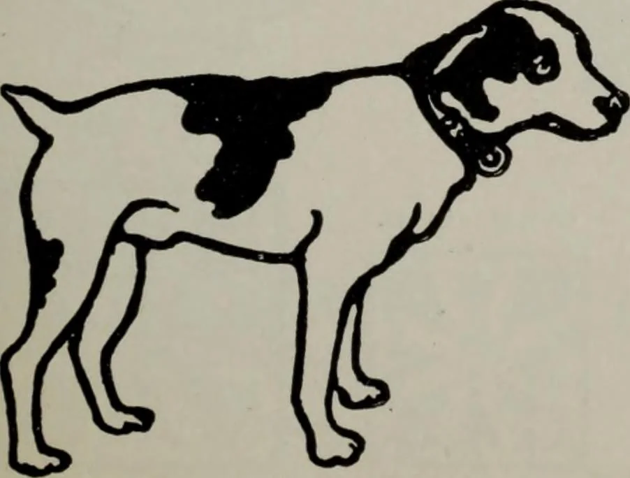 An illustration from Desk book of type specimens, borders, ornaments, brass rules and cuts : catalogue of printing machinery and printers' supplies, 1900, leaf 834