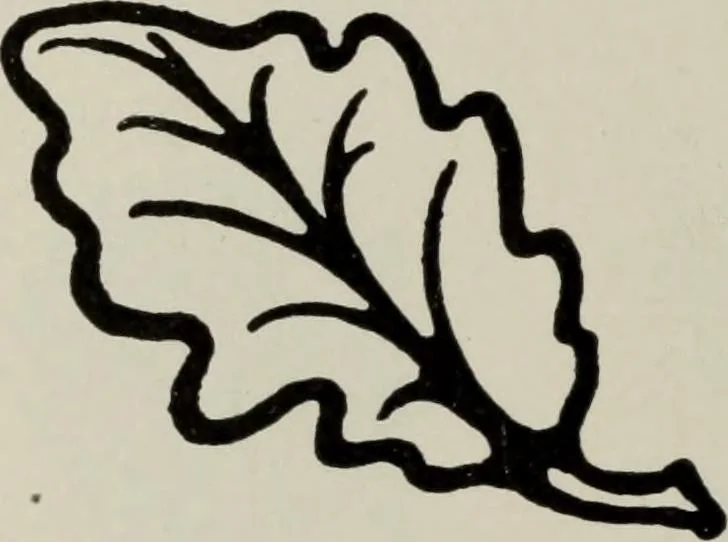 An illustration from Desk book of type specimens, borders, ornaments, brass rules and cuts : catalogue of printing machinery and printers' supplies, 1900, leaf 837