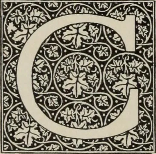 An illustration from Desk book of type specimens, borders, ornaments, brass rules and cuts : catalogue of printing machinery and printers' supplies, 1900, leaf 843