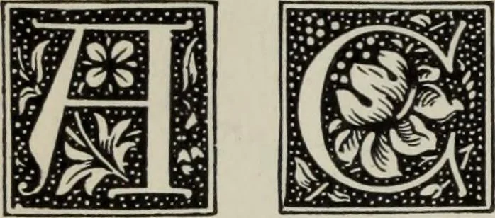 An illustration from Desk book of type specimens, borders, ornaments, brass rules and cuts : catalogue of printing machinery and printers' supplies, 1900, leaf 845