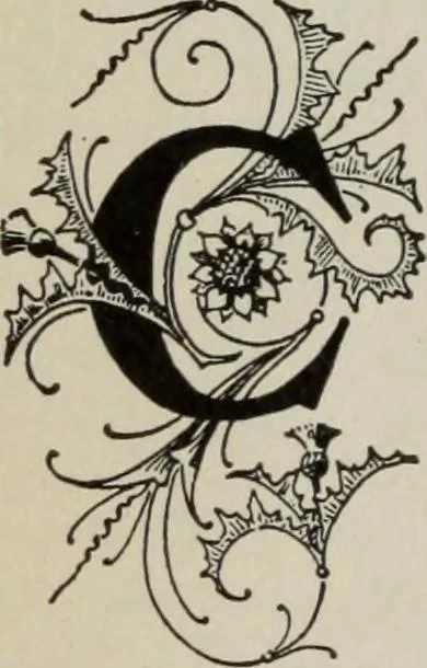 An illustration from Desk book of type specimens, borders, ornaments, brass rules and cuts : catalogue of printing machinery and printers' supplies, 1900, leaf 845