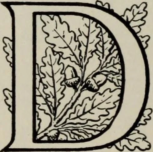 An illustration from Desk book of type specimens, borders, ornaments, brass rules and cuts : catalogue of printing machinery and printers' supplies, 1900, leaf 845