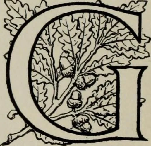 An illustration from Desk book of type specimens, borders, ornaments, brass rules and cuts : catalogue of printing machinery and printers' supplies, 1900, leaf 845