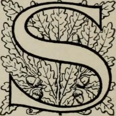An illustration from Desk book of type specimens, borders, ornaments, brass rules and cuts : catalogue of printing machinery and printers' supplies, 1900, leaf 845