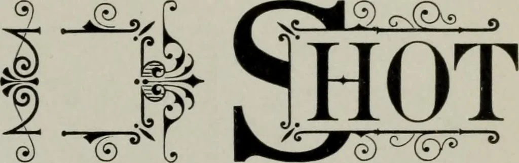 An illustration from Desk book of type specimens, borders, ornaments, brass rules and cuts : catalogue of printing machinery and printers' supplies, 1900, leaf 848