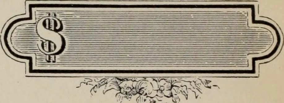 An illustration from Desk book of type specimens, borders, ornaments, brass rules and cuts : catalogue of printing machinery and printers' supplies, 1900, leaf 871
