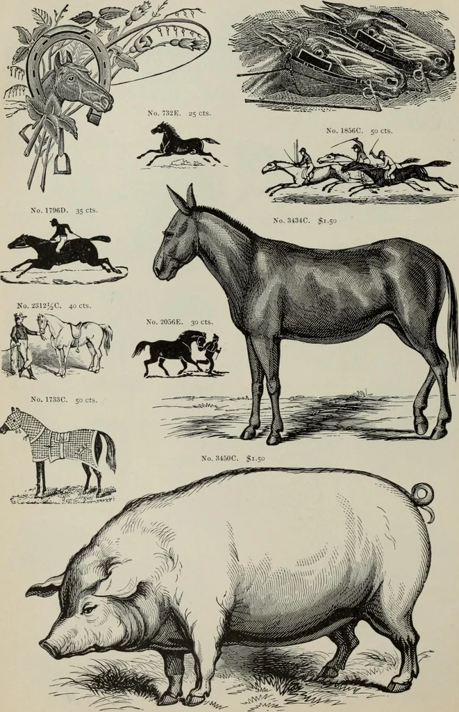 An illustration from Desk book of type specimens, borders, ornaments, brass rules and cuts : catalogue of printing machinery and printers' supplies, 1900, leaf 919