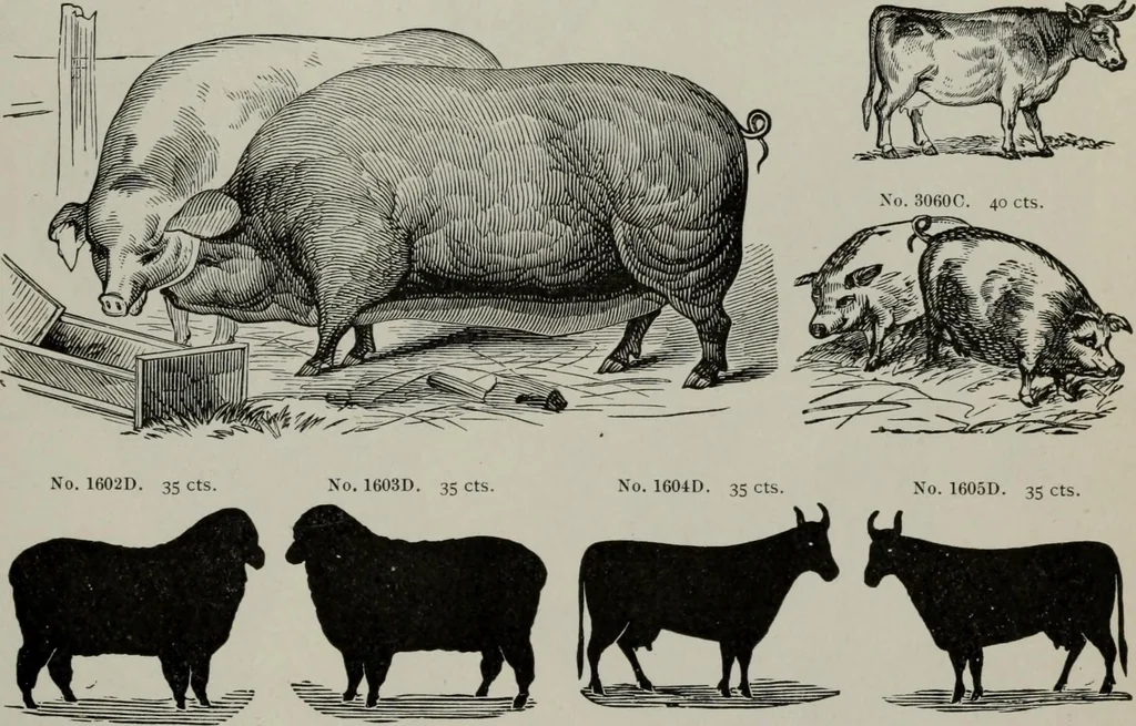 An illustration from Desk book of type specimens, borders, ornaments, brass rules and cuts : catalogue of printing machinery and printers' supplies, 1900, leaf 924
