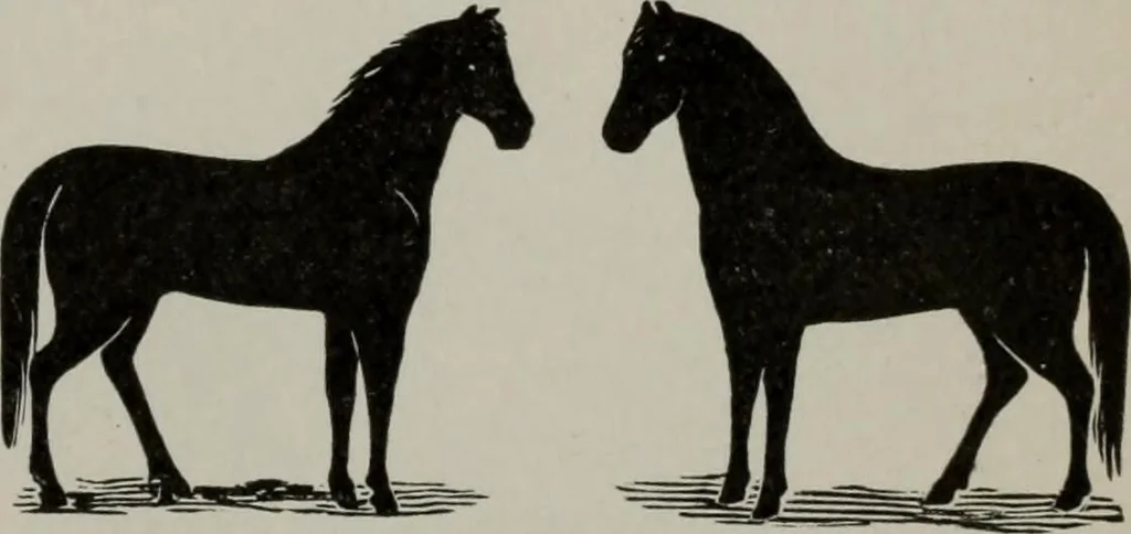 An illustration from Desk book of type specimens, borders, ornaments, brass rules and cuts : catalogue of printing machinery and printers' supplies, 1900, leaf 924