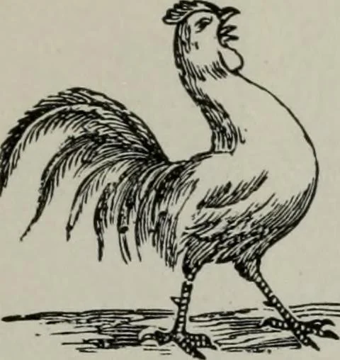 An illustration from Desk book of type specimens, borders, ornaments, brass rules and cuts : catalogue of printing machinery and printers' supplies, 1900, leaf 926