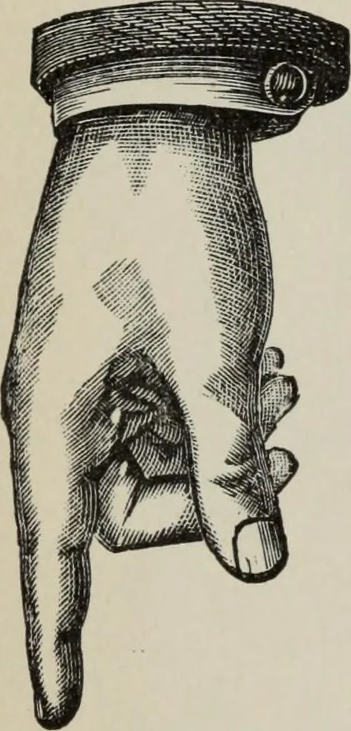 An illustration from Desk book of type specimens, borders, ornaments, brass rules and cuts : catalogue of printing machinery and printers' supplies, 1900, leaf 935