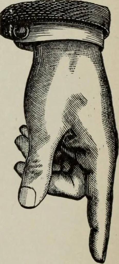 An illustration from Desk book of type specimens, borders, ornaments, brass rules and cuts : catalogue of printing machinery and printers' supplies, 1900, leaf 935